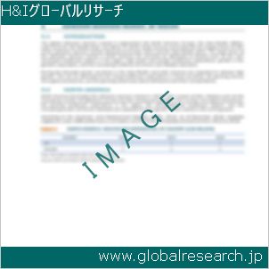 グローバルリサーチ調査レポートのイメージ